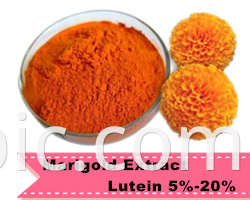 PLANTBIO Factory 20:1 50:1 100:1 Uncaria gambier extract powder